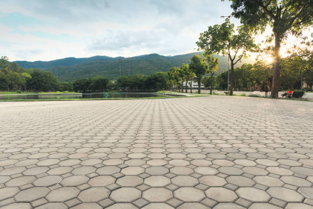 Best Residential Paver Driveway  in Salamanca, NY